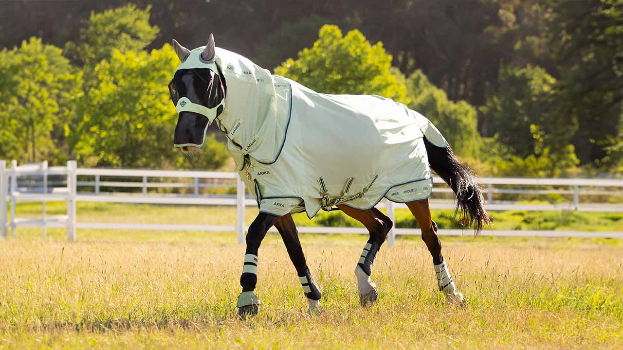 20% Off Fly Rugs