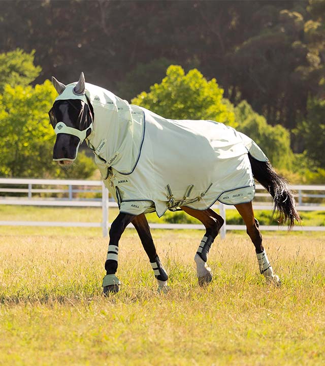 20% Off Fly Rugs