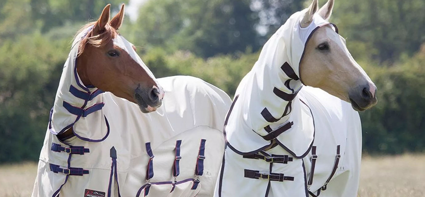 Blog: Summer fly protection for horses