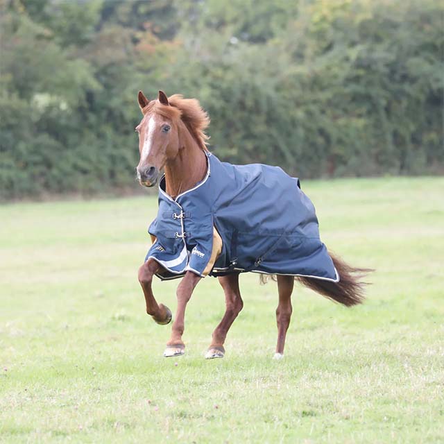 Shires Highlander Plus Lite 0g Standard Neck Turnout Rug Navy