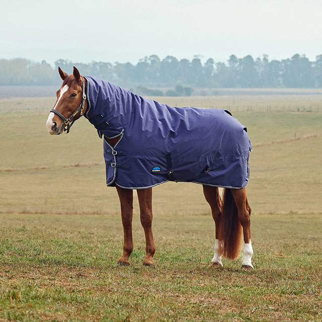 WeatherBeeta ComFiTec Tyro Combo Neck 50g Lite Plus Turnout Rug Navy