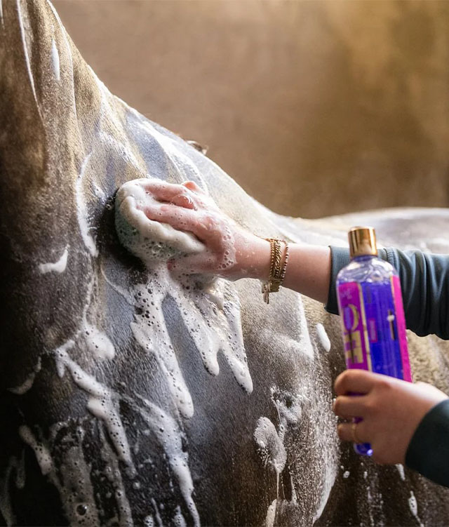 20% Off NAF Equine