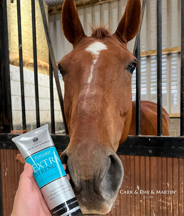 20% Off Fly Repellents