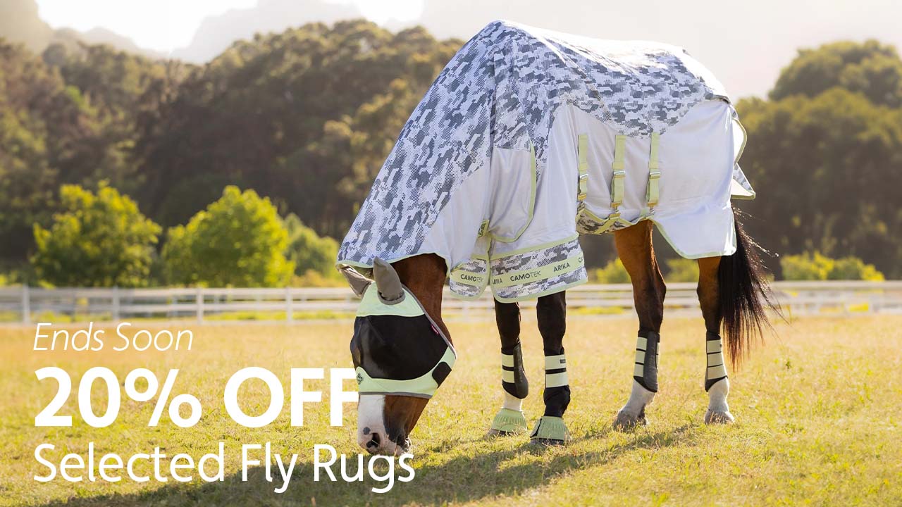 Horse wearing a fly rug, eating grass in a field