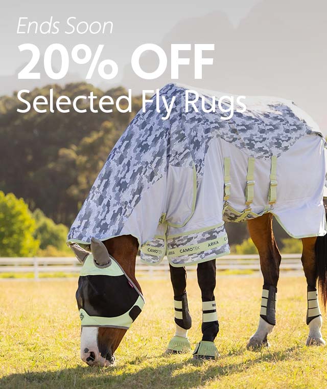 Horse wearing a fly rug, eating grass in a field