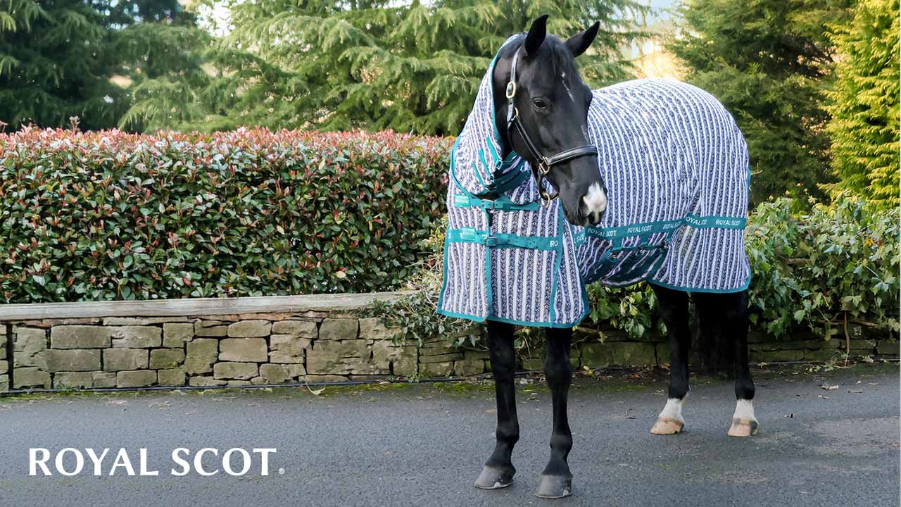 Horse wearing a Royal Scot Rug 