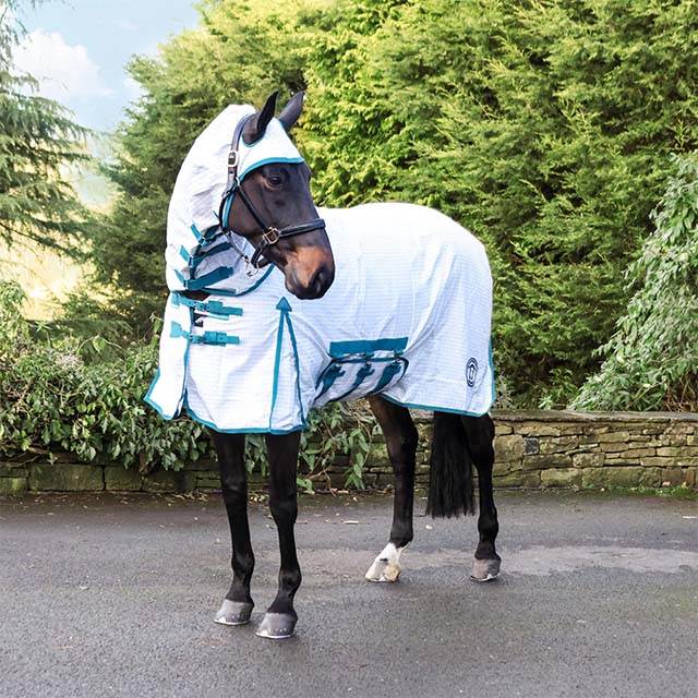 Royal Scot Original Sweet Itch Rug
