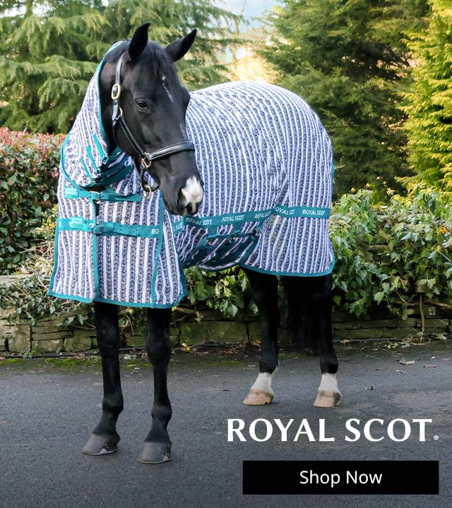 Horse wearing a Royal Scot Rug 