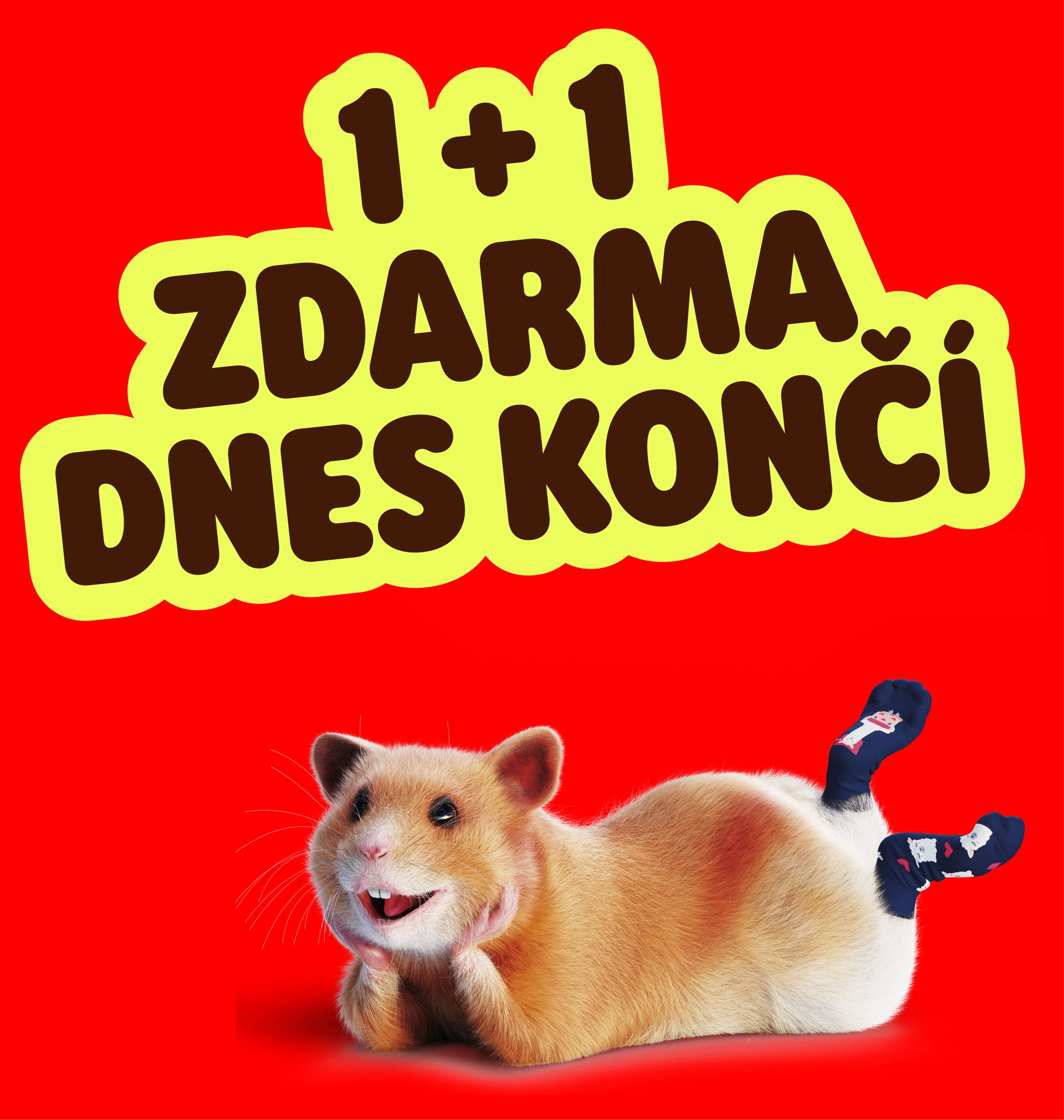 1 + 1 ZDARMA dnes končí