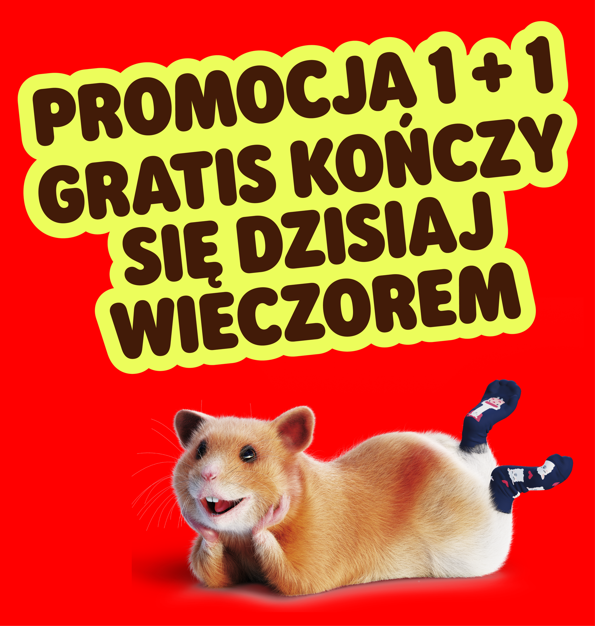  Promocja 1 + 1 GRATIS kończy się dzisiaj wieczorem