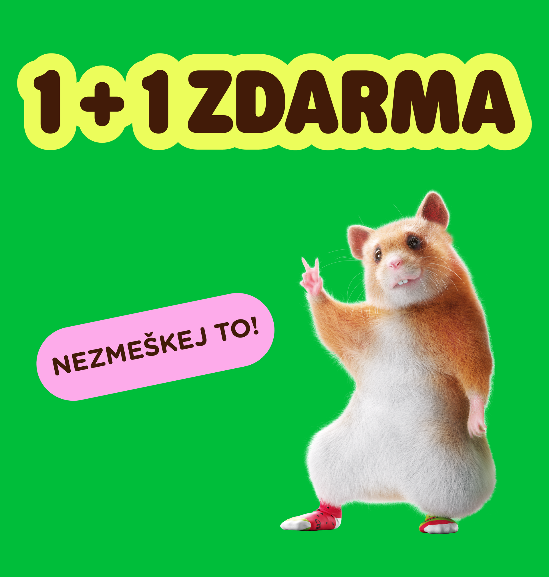 1 + 1 ZDARMA