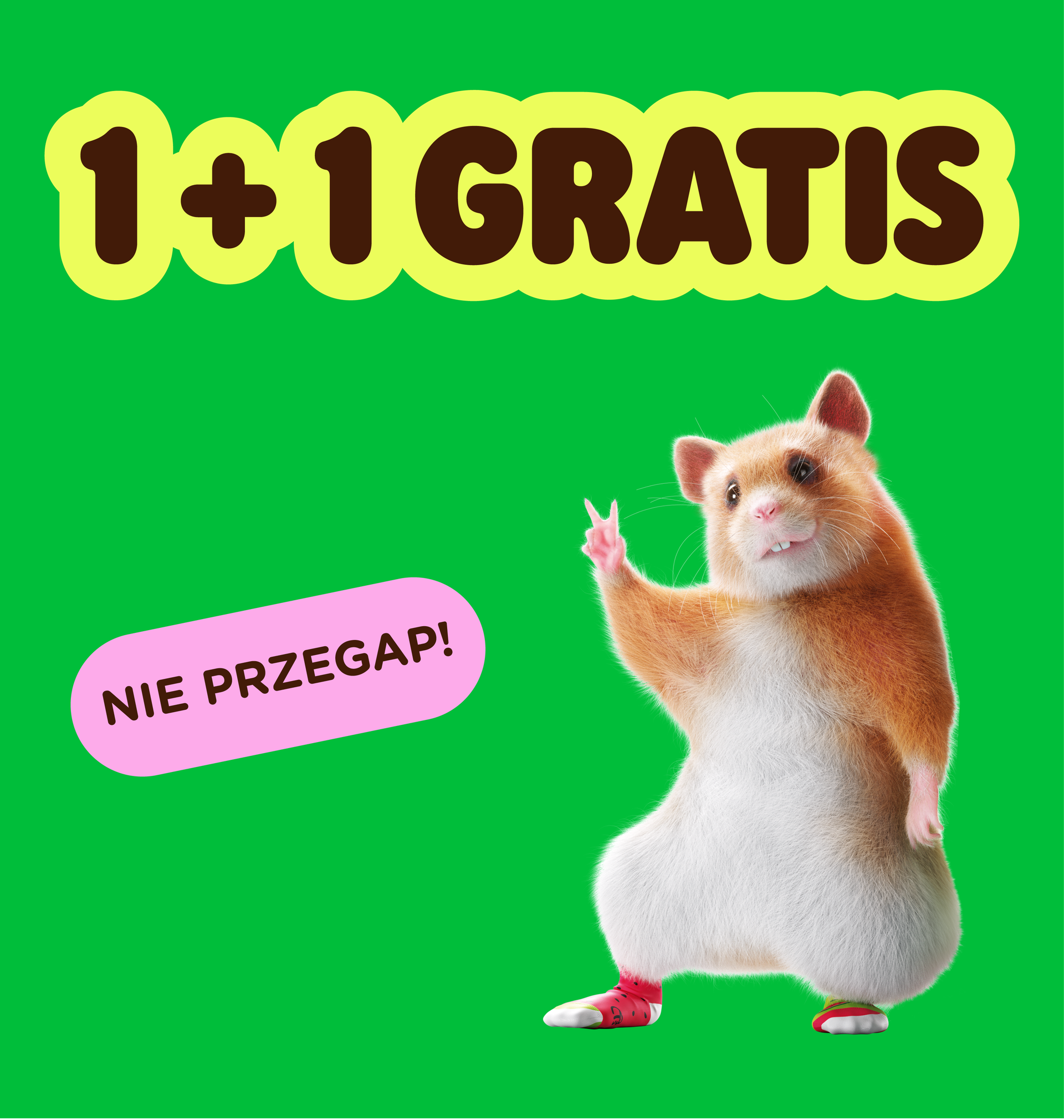  1 + 1 GRATIS