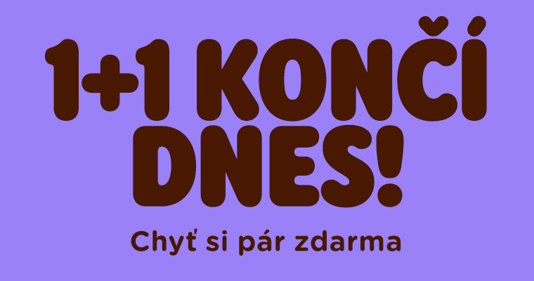 1+1 končí DNES!