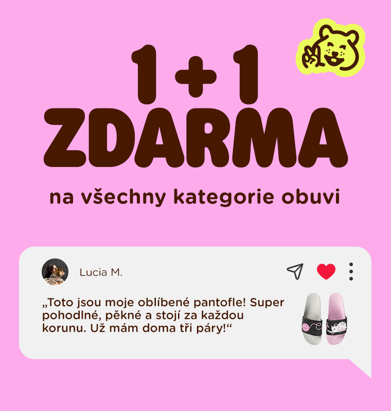 1 + 1