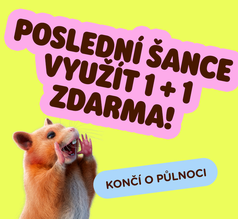 Poslední šance využít 1 + 1 ZDARMA!