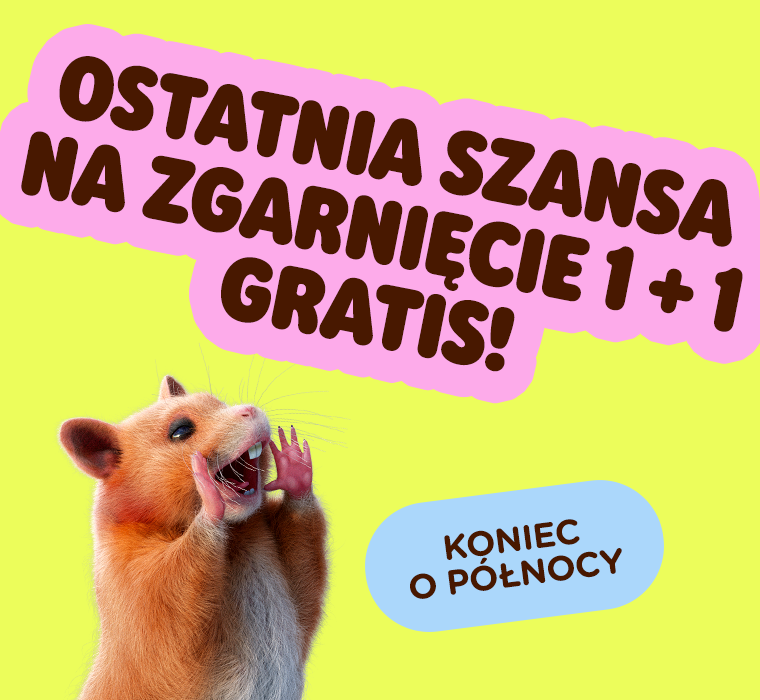  Ostatnia szansa na zgarnięcie 1 + 1 GRATIS!