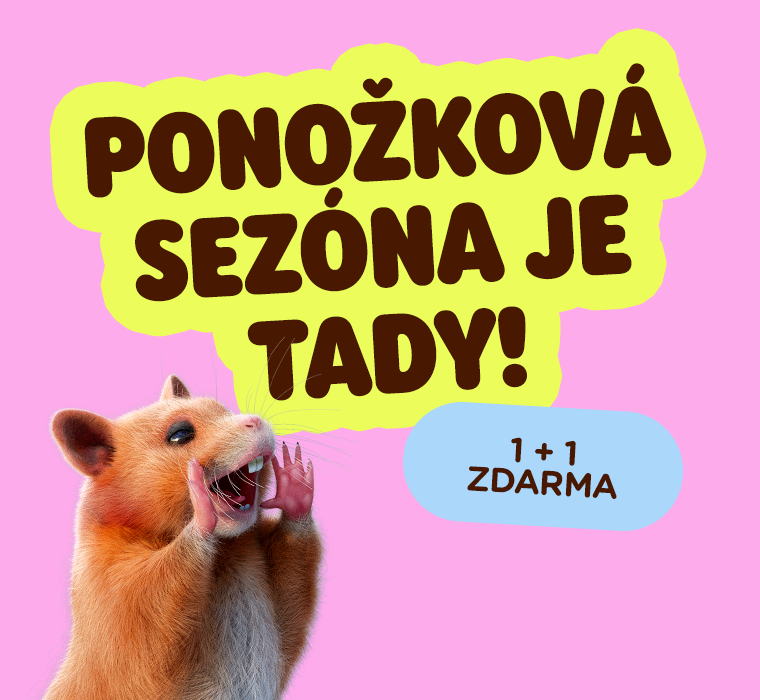 1 + 1 ZDARMA