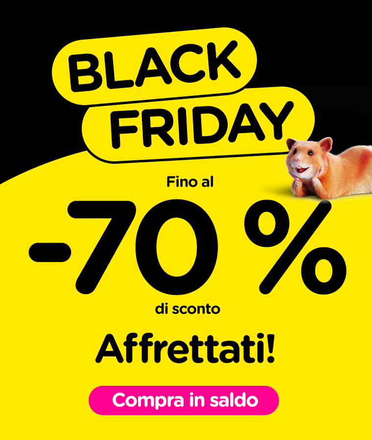  Black Friday