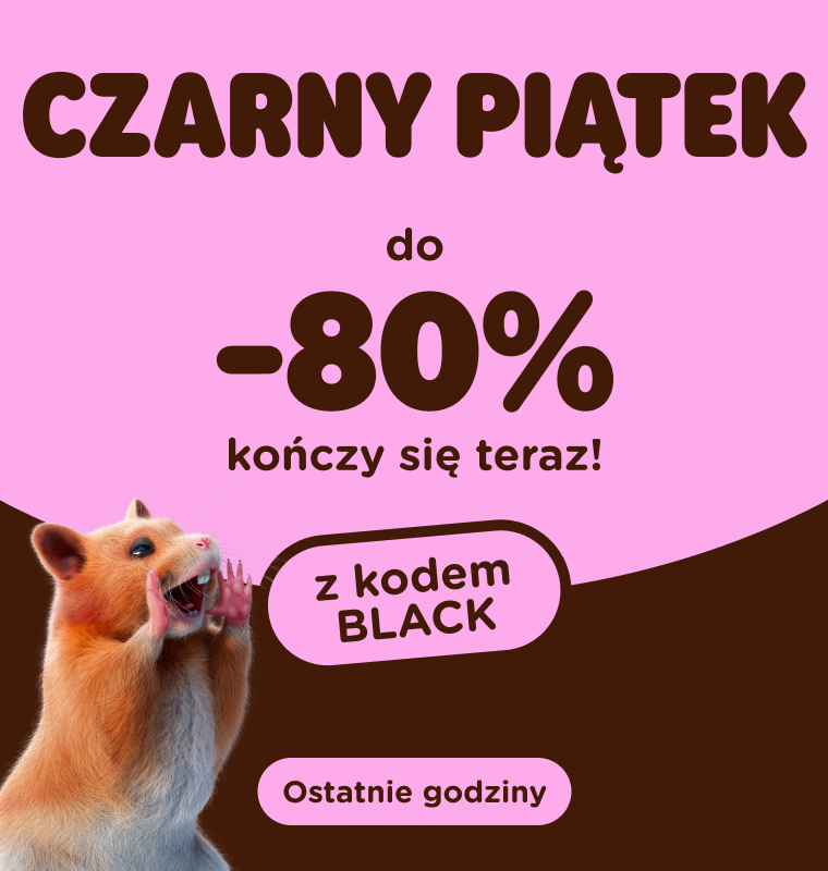  Czarny Piątek do -80% kończy się teraz!