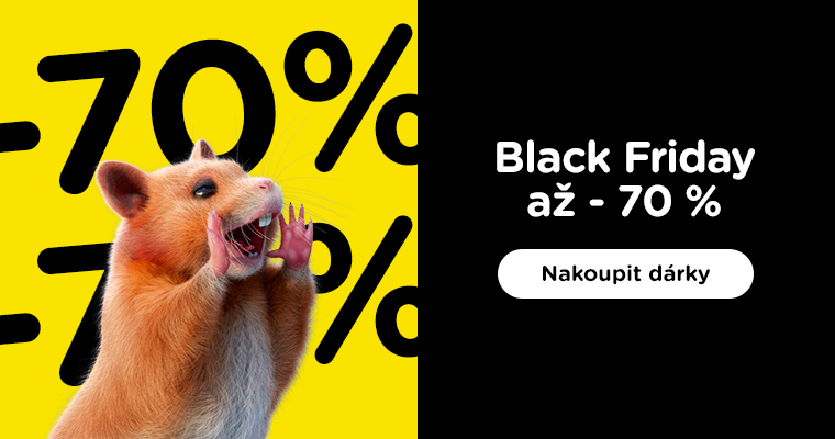  Black Friday