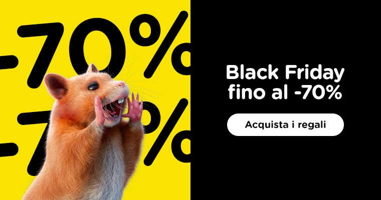  Black Friday