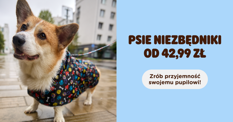  Psie niezbędniki od 42,99 zł