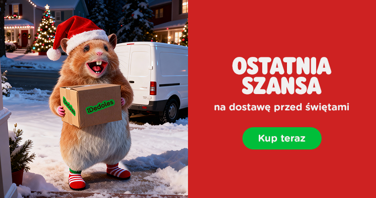  Ostatnia szansa: Dostawa aż do świąt