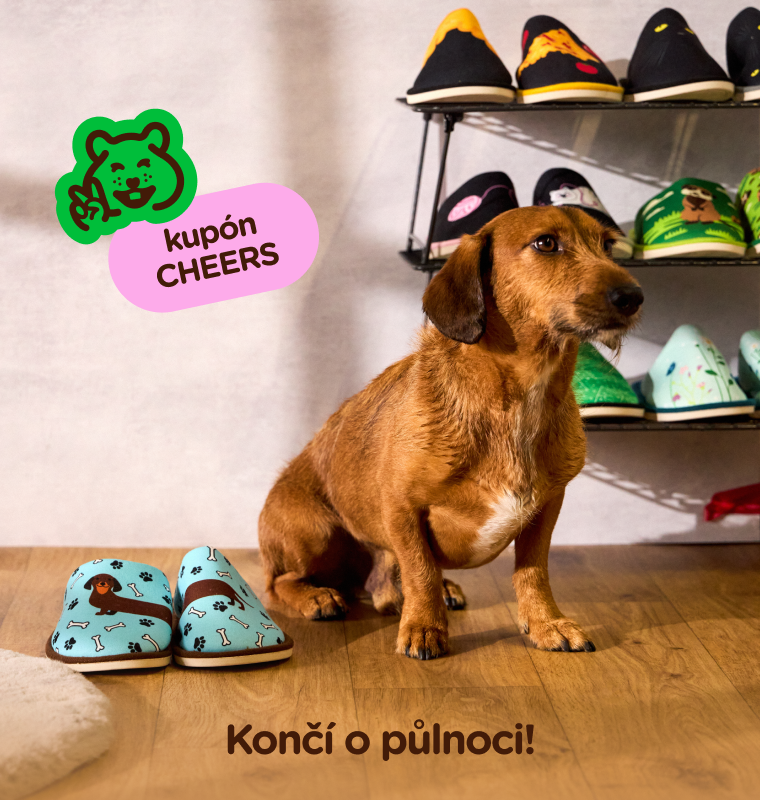  BRZY KONČÍ: SLEVY AŽ -80 %!