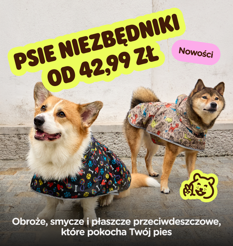  Psie niezbędniki od 42,99 zł