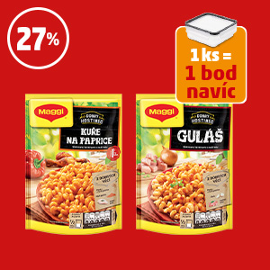 INSTANTNÍ POKRMY MAGGI