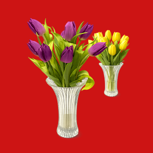 KYTICE TULIPÁNY