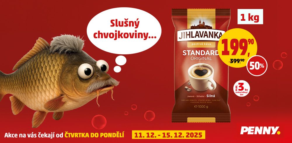 Slušný chvojkoviny...