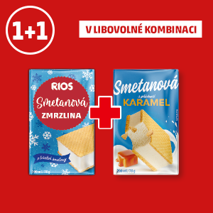 SMETANOVÁ ZMRZLINA V OPLATCE
