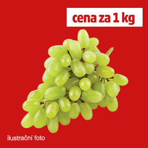 HROZNY RÉVY VINNÉ BÍLÉ