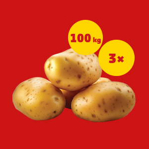 3x 100 KG BRAMBOR