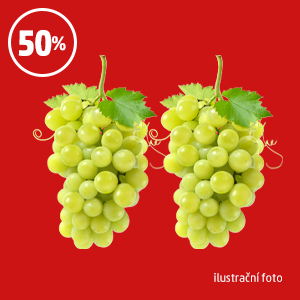 HROZNY RÉVY VINNÉ BÍLÉ