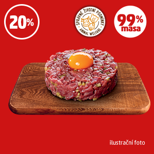 TATARSKÝ BIFTEK DOBRÉ MASO