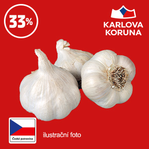 ČESNEK ČESKÝ KARLOVA KORUNA