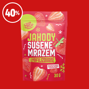 OVOCE SUŠENÉ MRAZEM