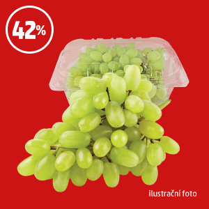 HROZNY RÉVY VINNÉ BÍLÉ