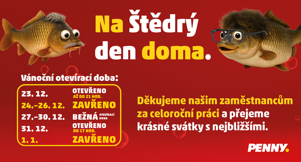 Na Štědrý den doma