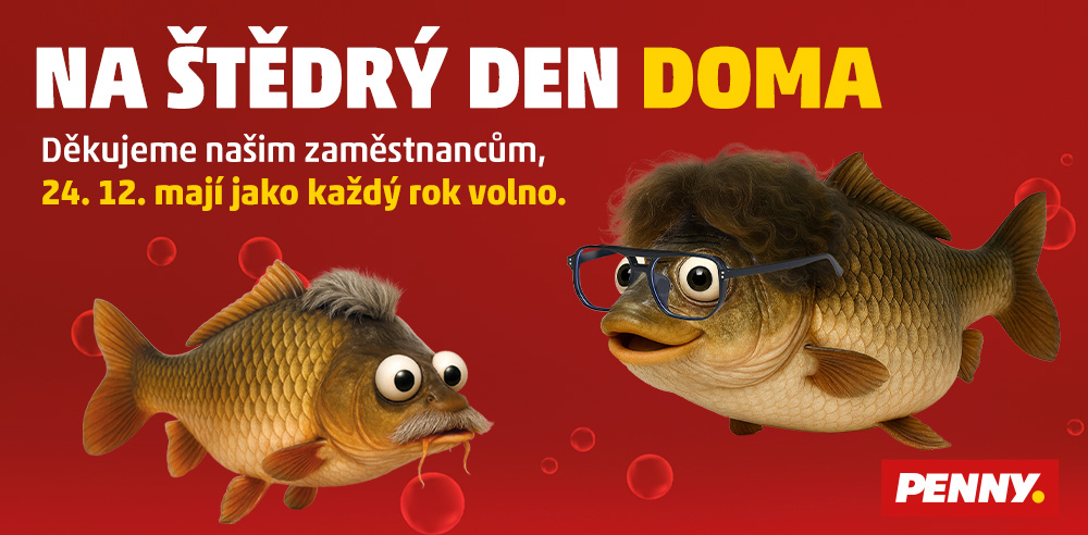 Na štědrý den doma