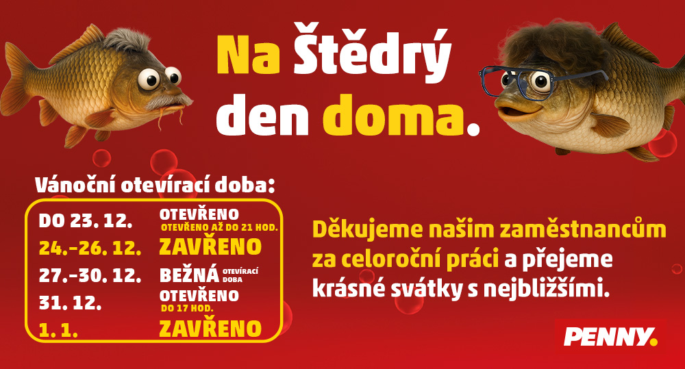 Na štědrý den doma