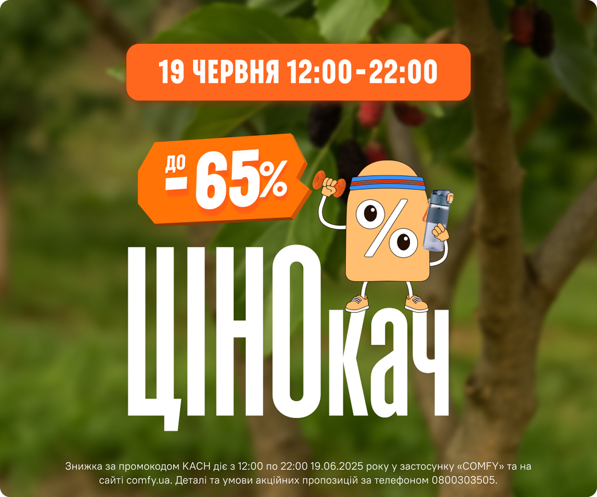 ЦІНОкач до -65%