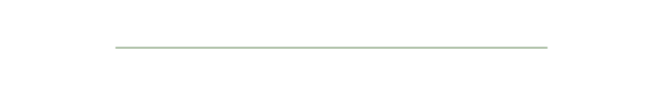A green divider bar.