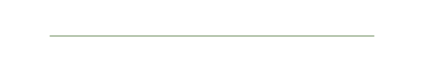 A green divider bar. 