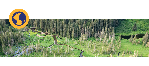 An aerial view of a forest. On the left, a blue graphic of the earth against a yellow circle. 