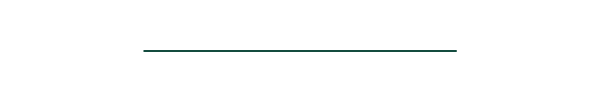 A red divider bar. 