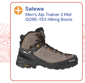 Salewa Men's Alp Trainer 2 Mid GORE-TEX Hiking Boots - Brown.