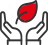 Ekologie